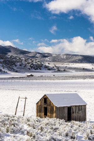 Snowy farms (6).jpg